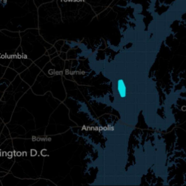 The Ever Forward Ship Stuck in the Chesapeake Bay