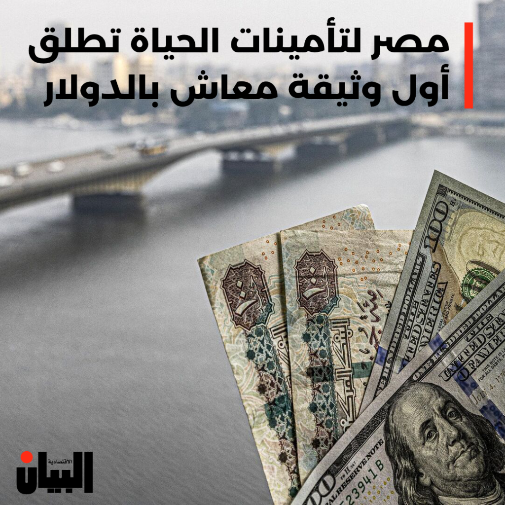 مصر لتأمينات الحياة تطلق أول وثيقة معاش بالدولار