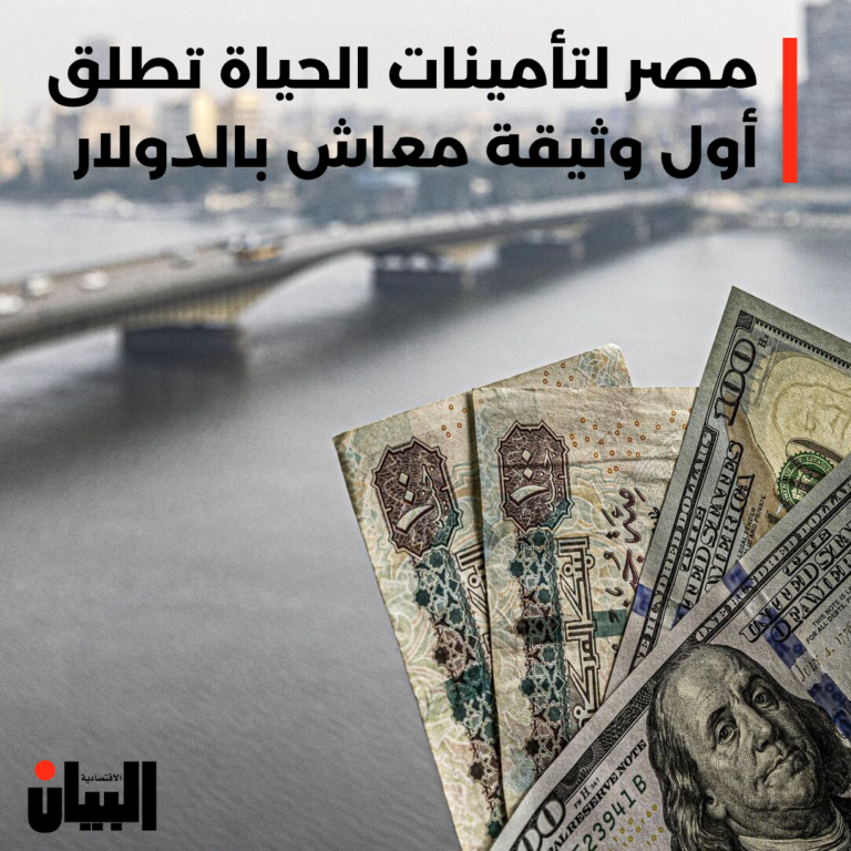 مصر لتأمينات الحياة تطلق أول وثيقة معاش بالدولار